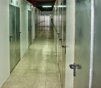 WhatsApp Image 2025-02-28 at 12.27.54